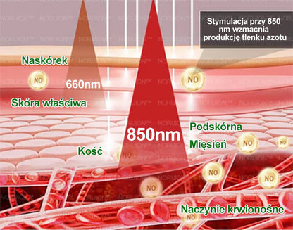 🎁 Zostało tylko 5 pudełek! Oferujemy dodatkową zniżkę 50%! Zdobądź formę i zdrowie. Schudnij teraz, bo nie będzie już żadnej innej szansy do przyszłego roku.